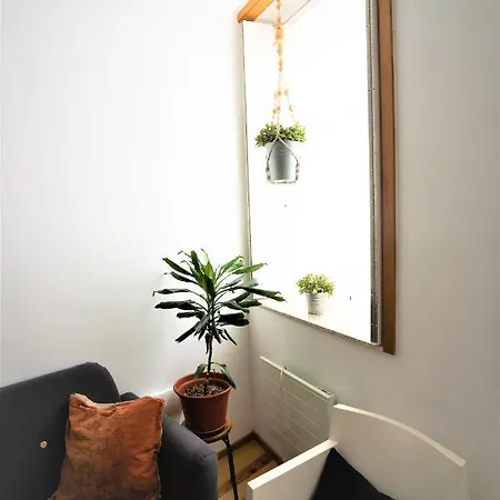 Downtown Relaxed With Private Yard Apartment
